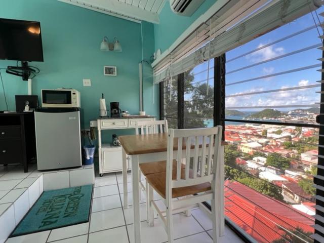 The Green Iguana Hotel Charlotte Amalie Ngoại thất bức ảnh