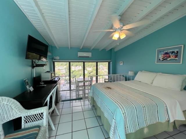 The Green Iguana Hotel Charlotte Amalie Ngoại thất bức ảnh